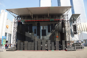 541DSC01394